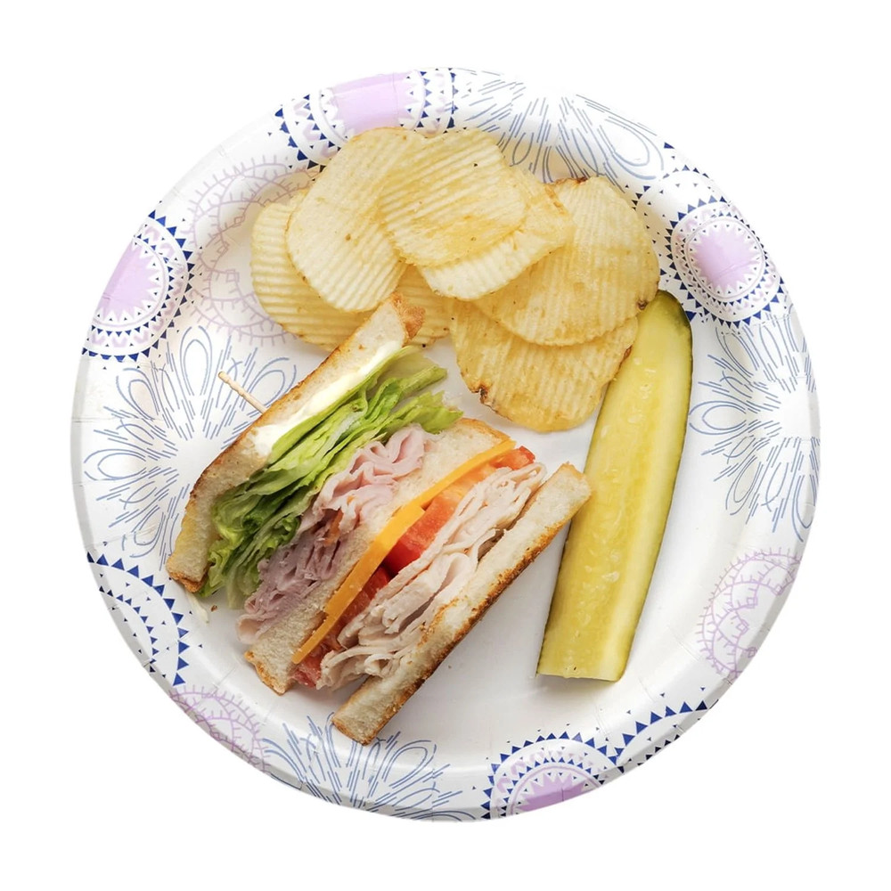 Disposable Paper Plates, 8.5", 300 Count