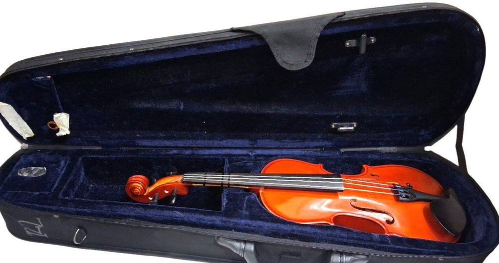 Amadeus 3/4 Acoustic Student Violin with Case