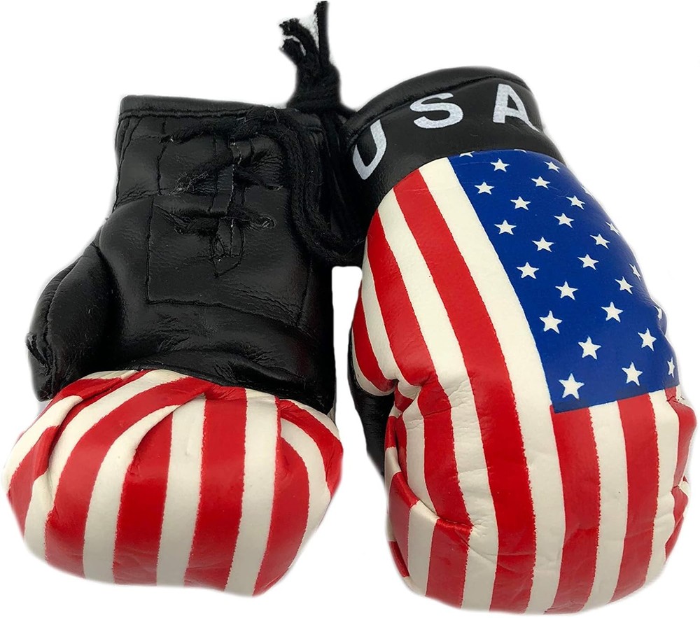 Hanging Car Mirror Mini Boxing Gloves (USA)