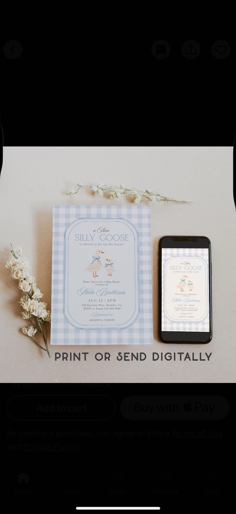 Silly Goose Baby Shower Bundle