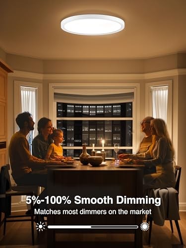 Third Generation LED Flush Mount Ceiling Light, Dimmable 12 inch White（2 Pack）