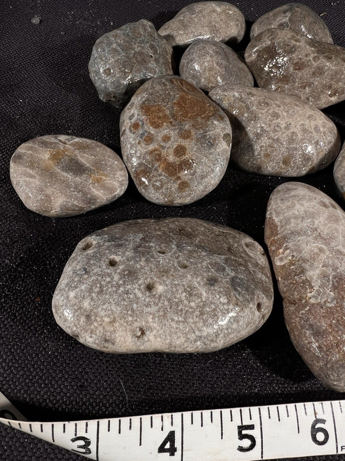 Parsley Stone Rough 3 lb 13 oz 15 in lot Michigan, good hexagonal patterns