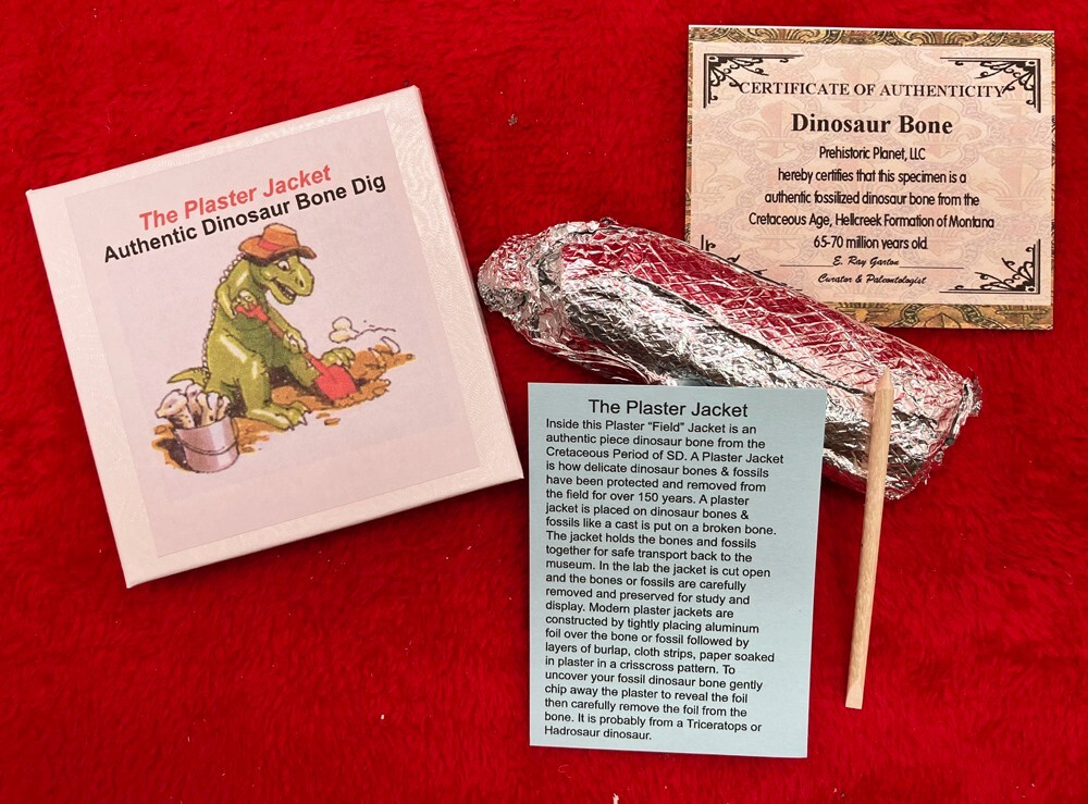 Authentic Plaster Jacket Dinosaur Bone Dig #4000