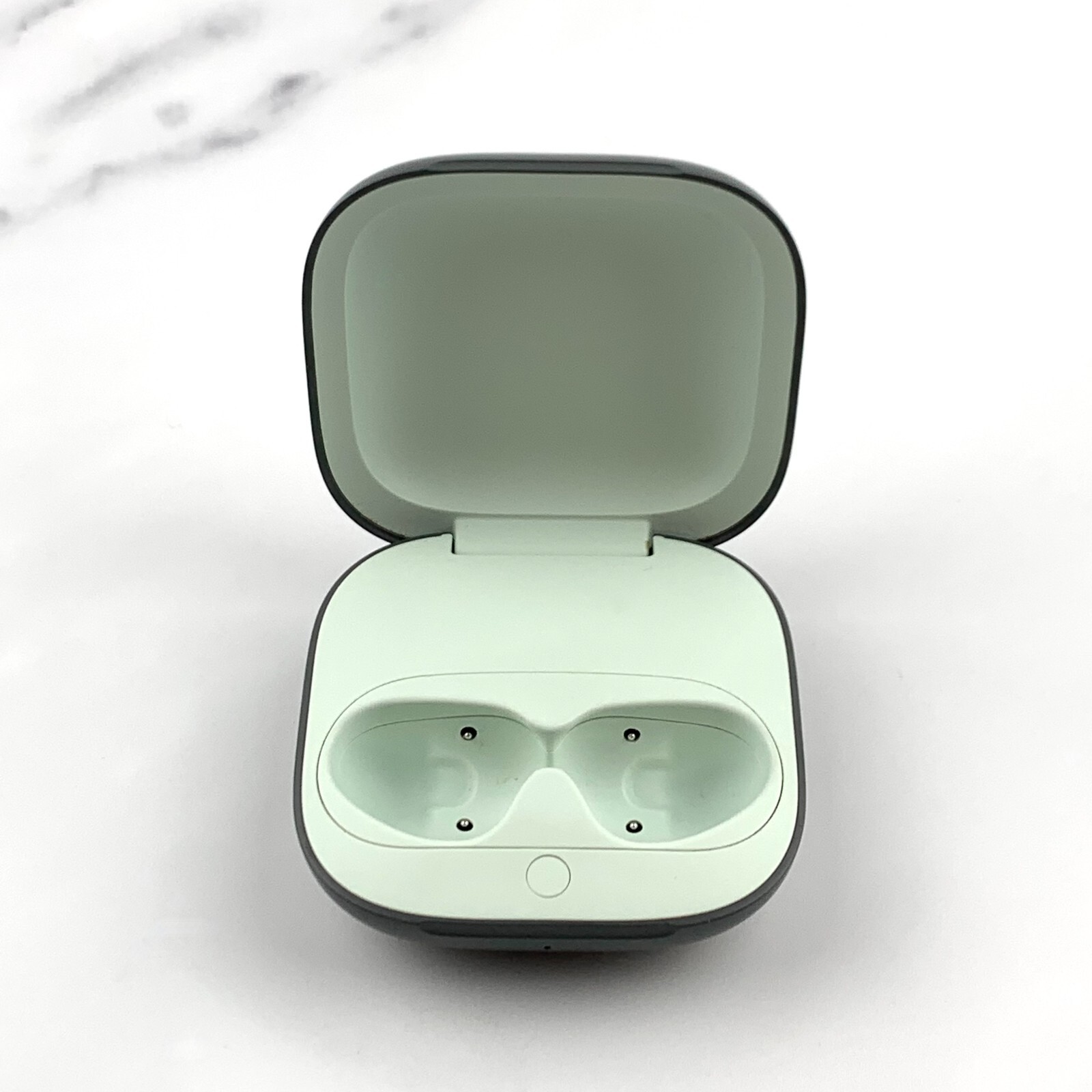 Beats by Dr. Dre Beats Fit Pro Sage Green Case Replacement