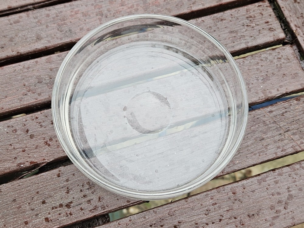 ROUND LARGE GLASS BUTTER DISH LINER FOR SILVER / PLATED CONTAINER REPLACEMENT