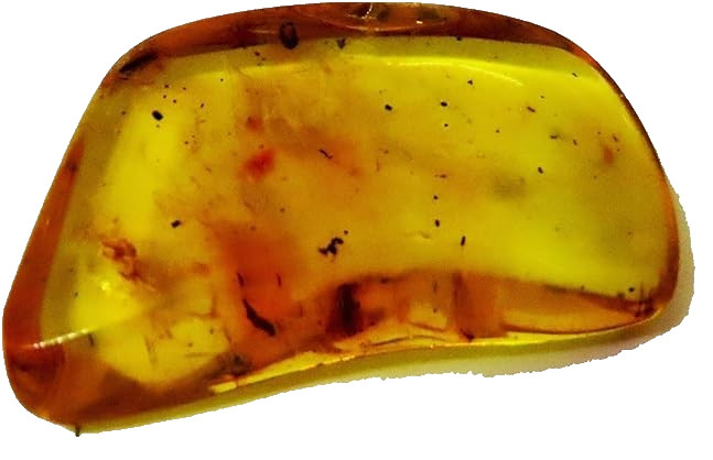 AMBAR copal with insects embedded 5 grs