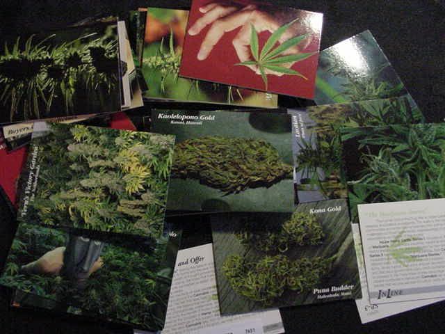 Pot Marijuana Cards Wholesale Box Lot with Hemp Art, New