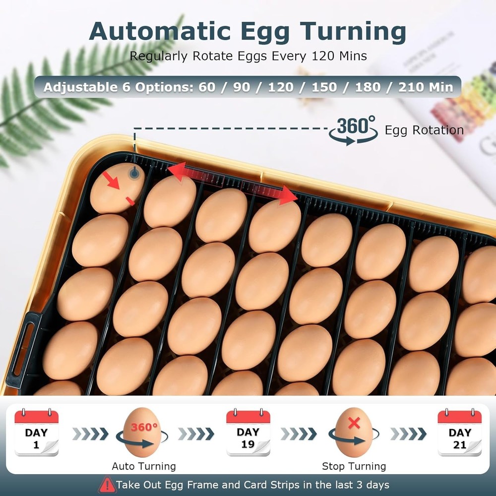 56 Eggs Incubator with Auto Egg Turn, Temp & Humidity Control, Viewing