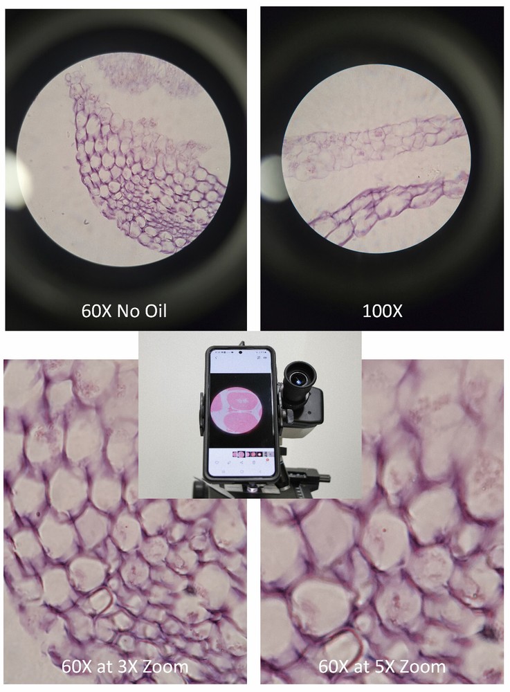 Sturdy Microscope Eyepiece Camera Adapter for Smartphone & iPhone