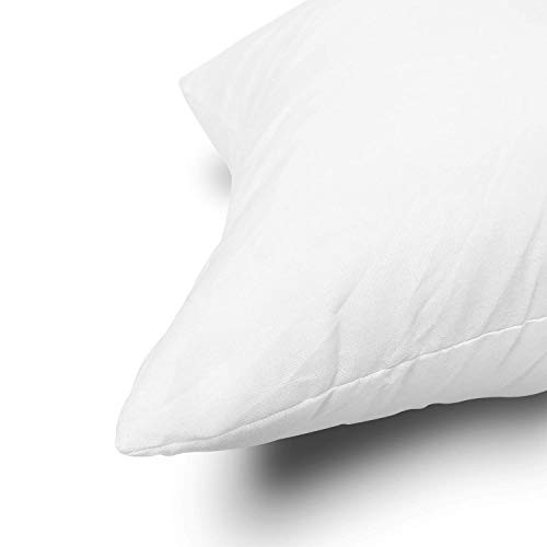 Throw Pillow Inserts, Set of 2 Lightweight Down Alternative Polyester White