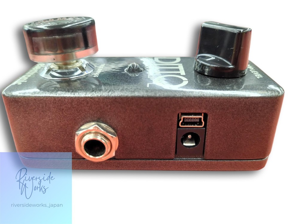 TC Electronic Ditto Looper Effects Pedal Compact Looping JP