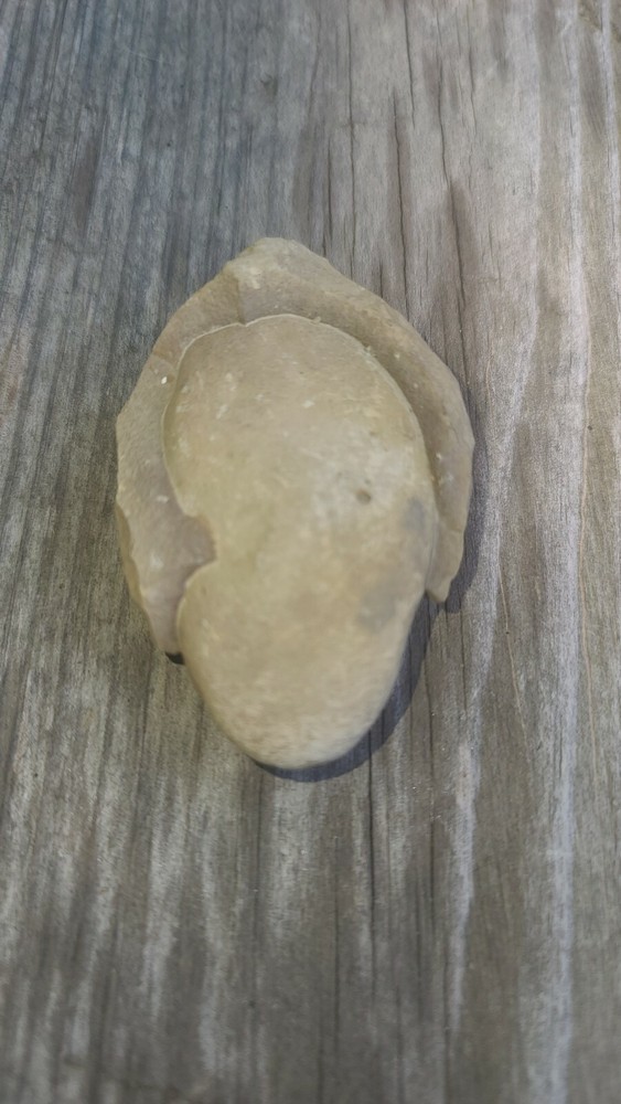 Stone (oval) embedded inside of shale