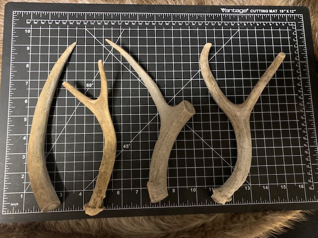 Large Mid-Grade Deer Antler Dog Chew 4 Pack