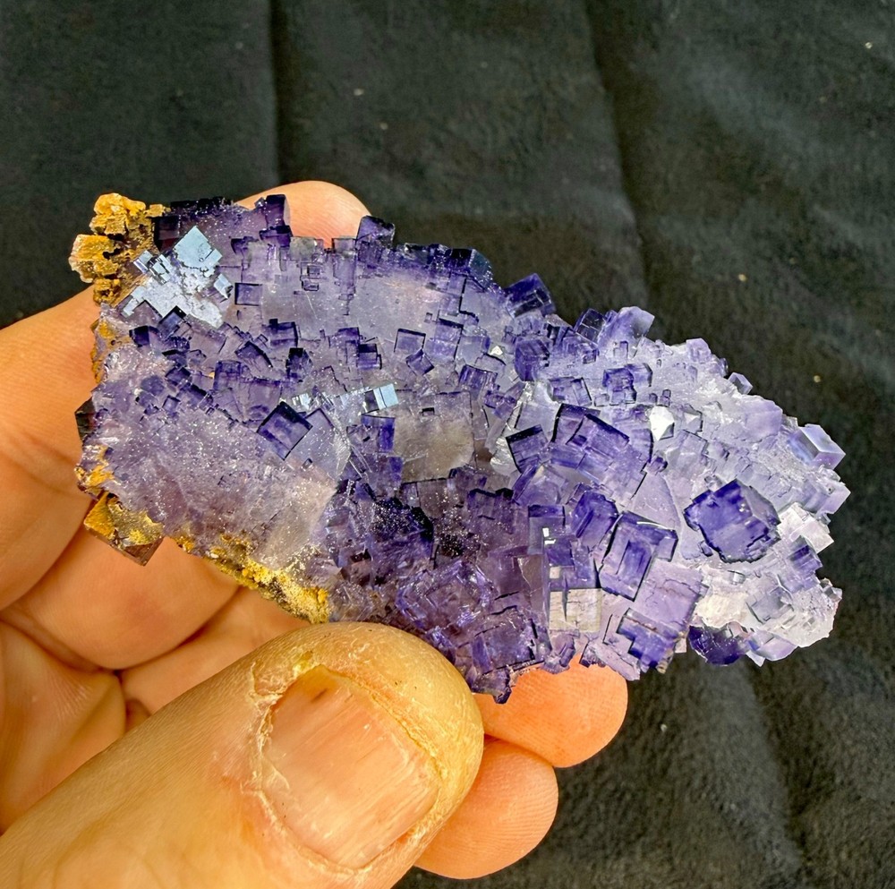 Conversation Crystals - Fluorite