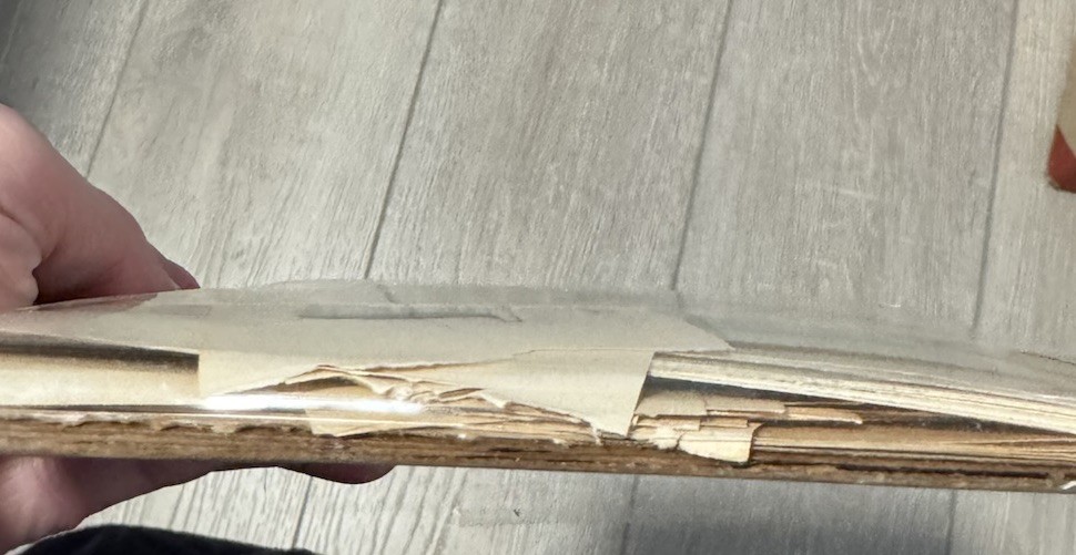 Ephemera 1928s Colorful Illustrations 50+ by Ruth Mary Hallock Children Fairy Ta