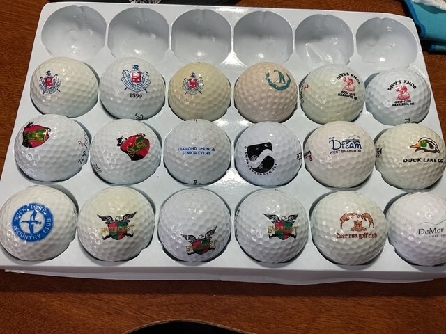 MICHIGAN D GOLF COURSE: LOGO BALLS