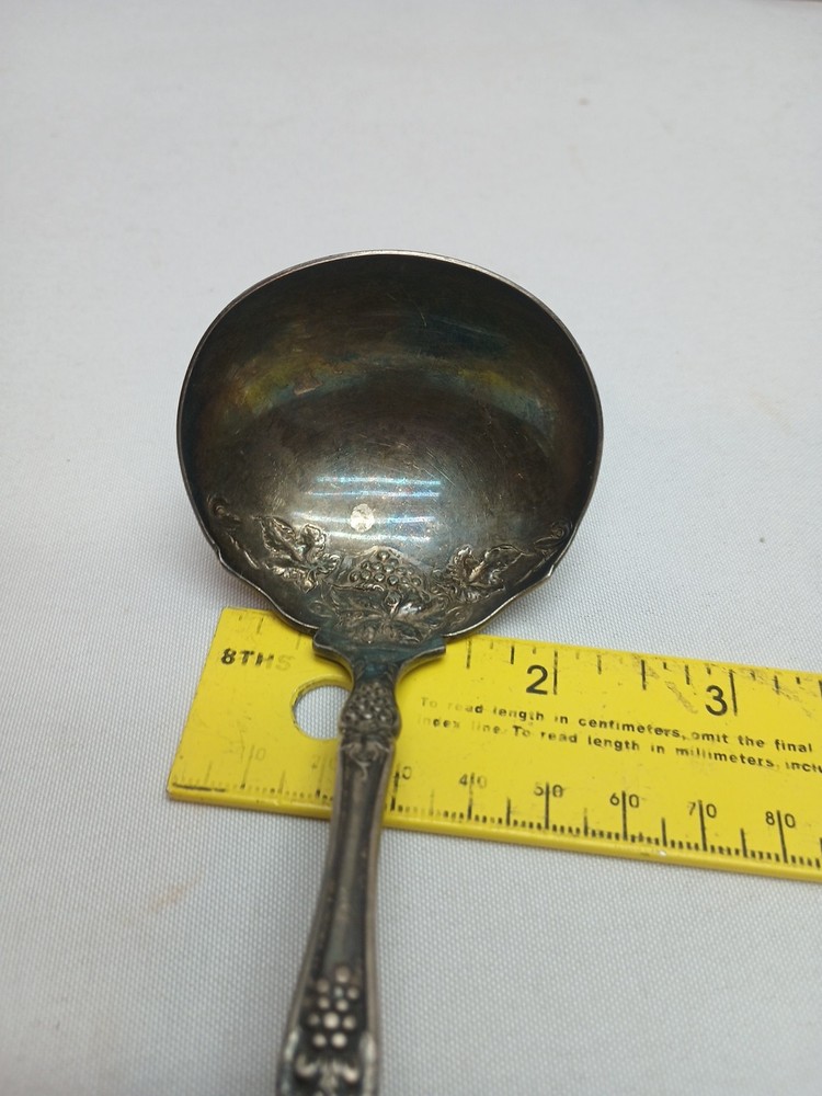 Wm. Rogers & Son IS Grapevine SILVERPLATE Dipping LADLE Spoon