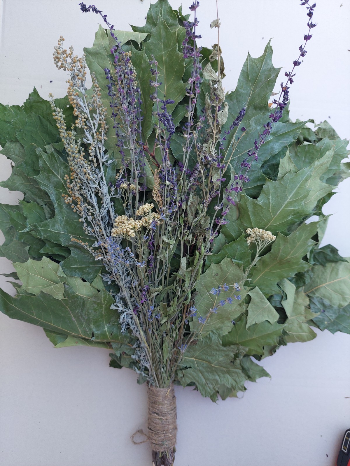 18st Oak canadian brooms+herbs sauna banya venik whisks Eiche 2025 Ukraine free