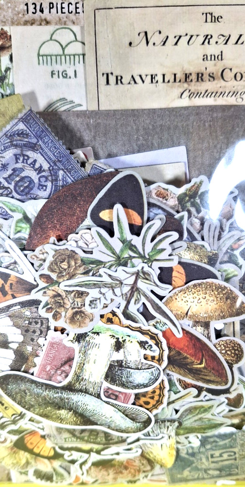 Tim Holtz Idea-ology Field Notes Ephemera Pack TH94051 ** 134 Pcs