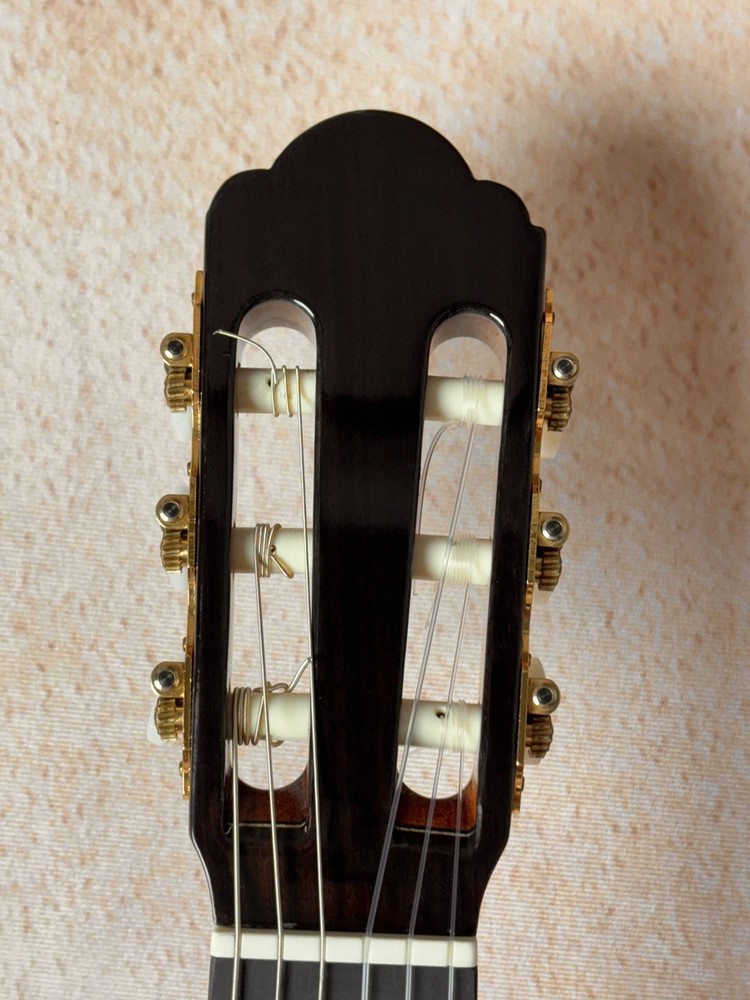 ARIA A-50S Classical Guitar Spruce Solid Top Prominent Bearclaw Figuring