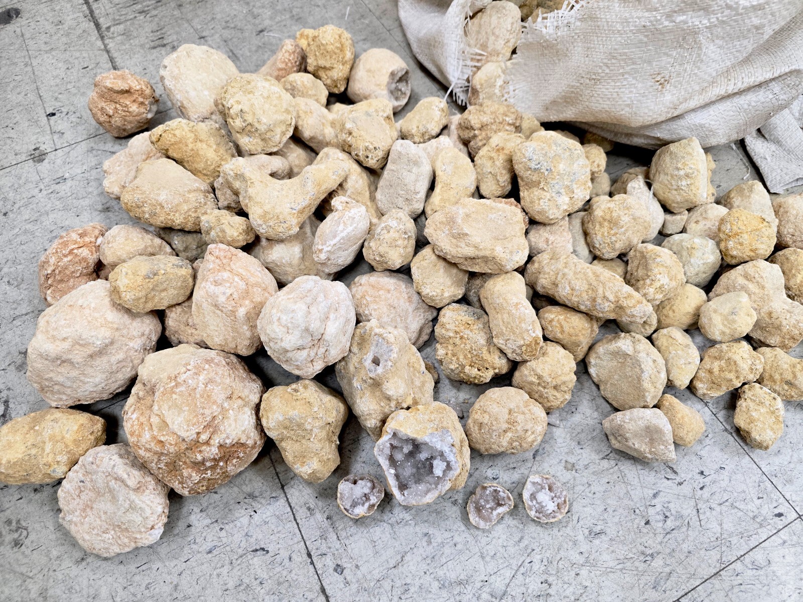 Break Your Own Geodes Unbroken Quartz Crystal Geode with Sparkly Crystals Inside