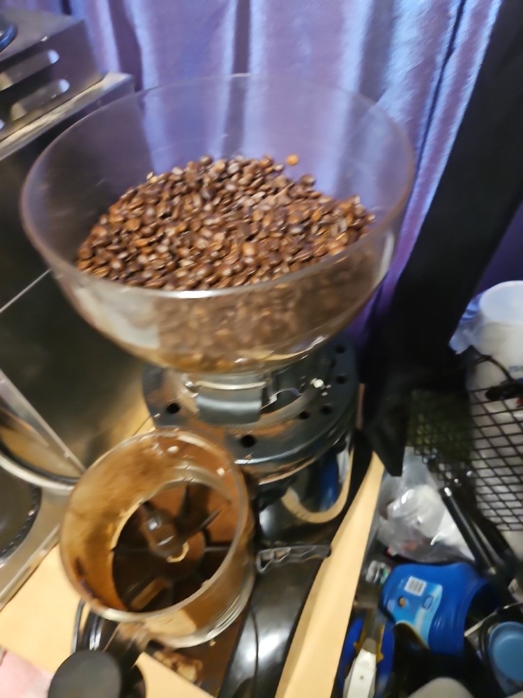 Heavy duty coffee bean grinder