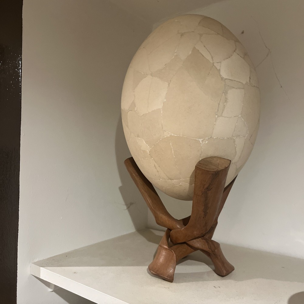 Reconstructed Elephant Bird Egg