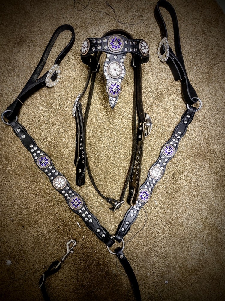 Custom Parade/showTack Set - Headstall & Breast collar