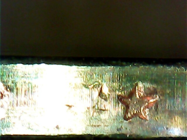 Presidential Dollar Error 2011 P James Garfield Extra Star