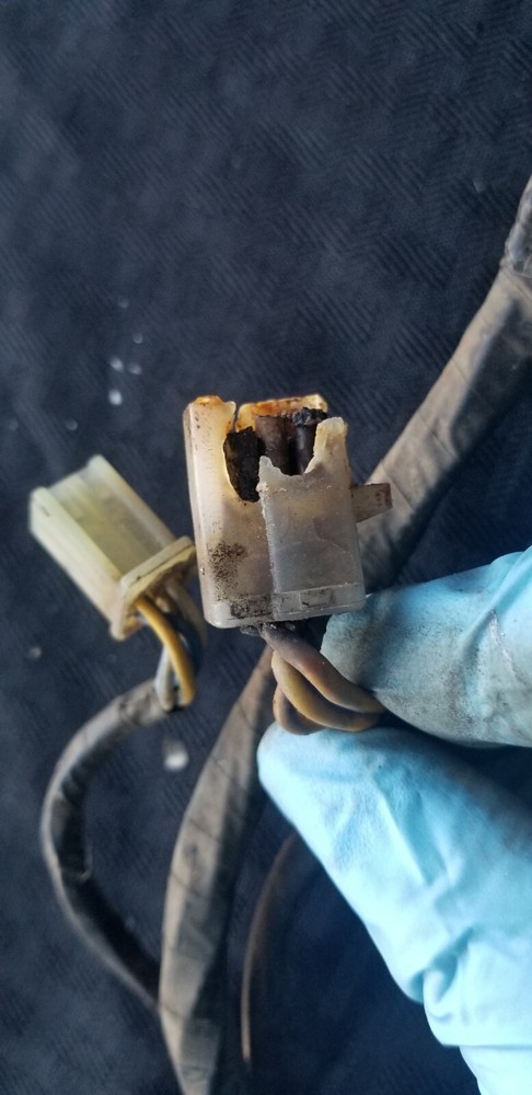 1983 Honda GL1100 Main Wire Harness ♻️