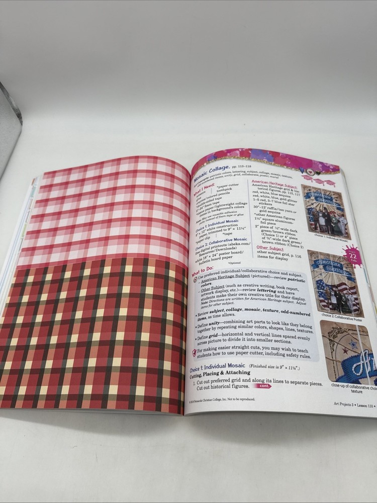 Abeka Art Projects 3 Student Workbook (5th Edition) 3rd Grade