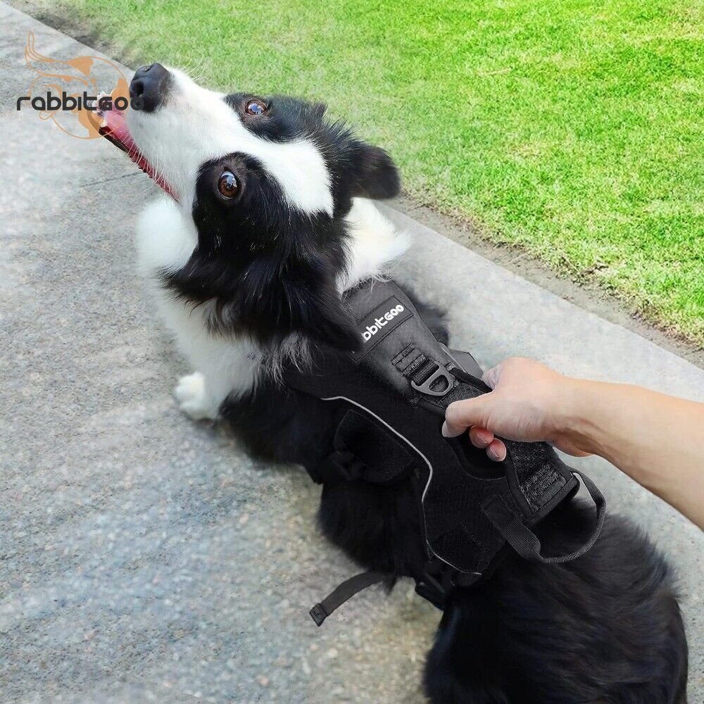 rabbitgoo Escape Proof Dog Harness with Lift Handle Reflective Adjustable Vest