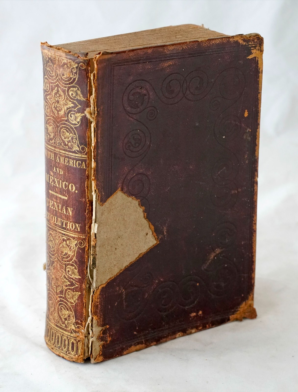 1844 South America and Mexico TEXAS Revolution - Senator John Niles & Pease