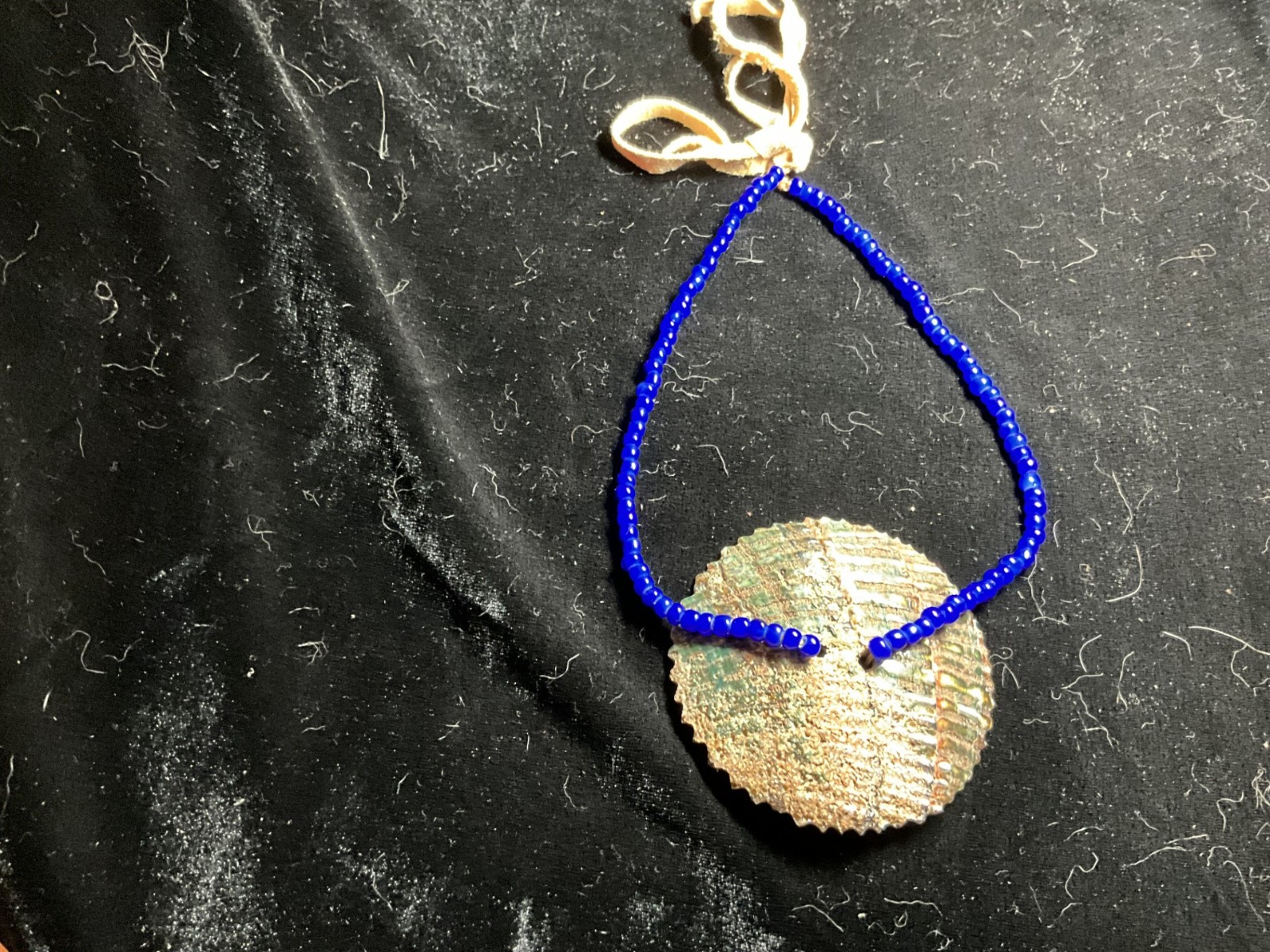 Abalone Choker Necklace