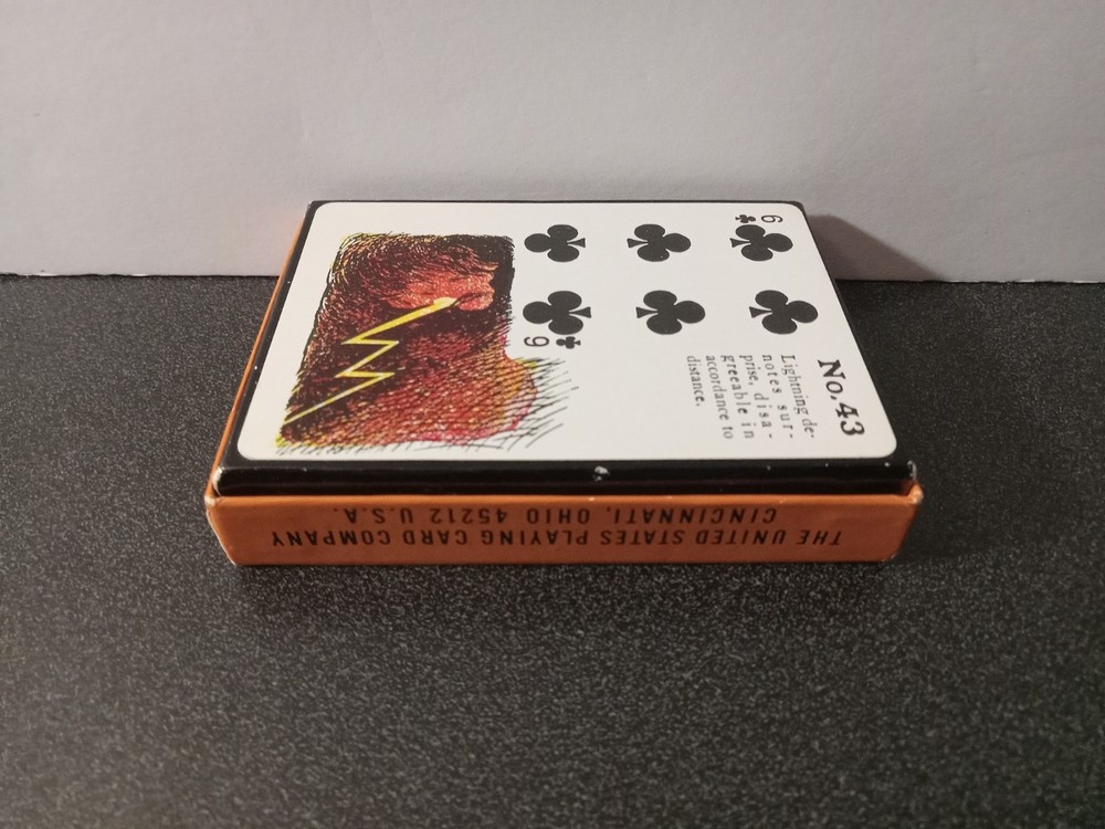 Gypsy Witch Fortune Telling Playing Cards