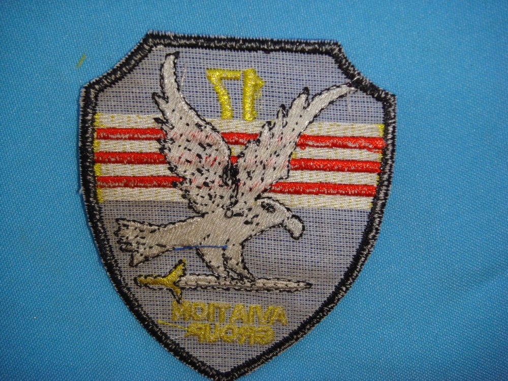 VIETNAM WAR PATCH, US 17th COMBAT AVIATION GROUP " FREEDOM EAGLE "