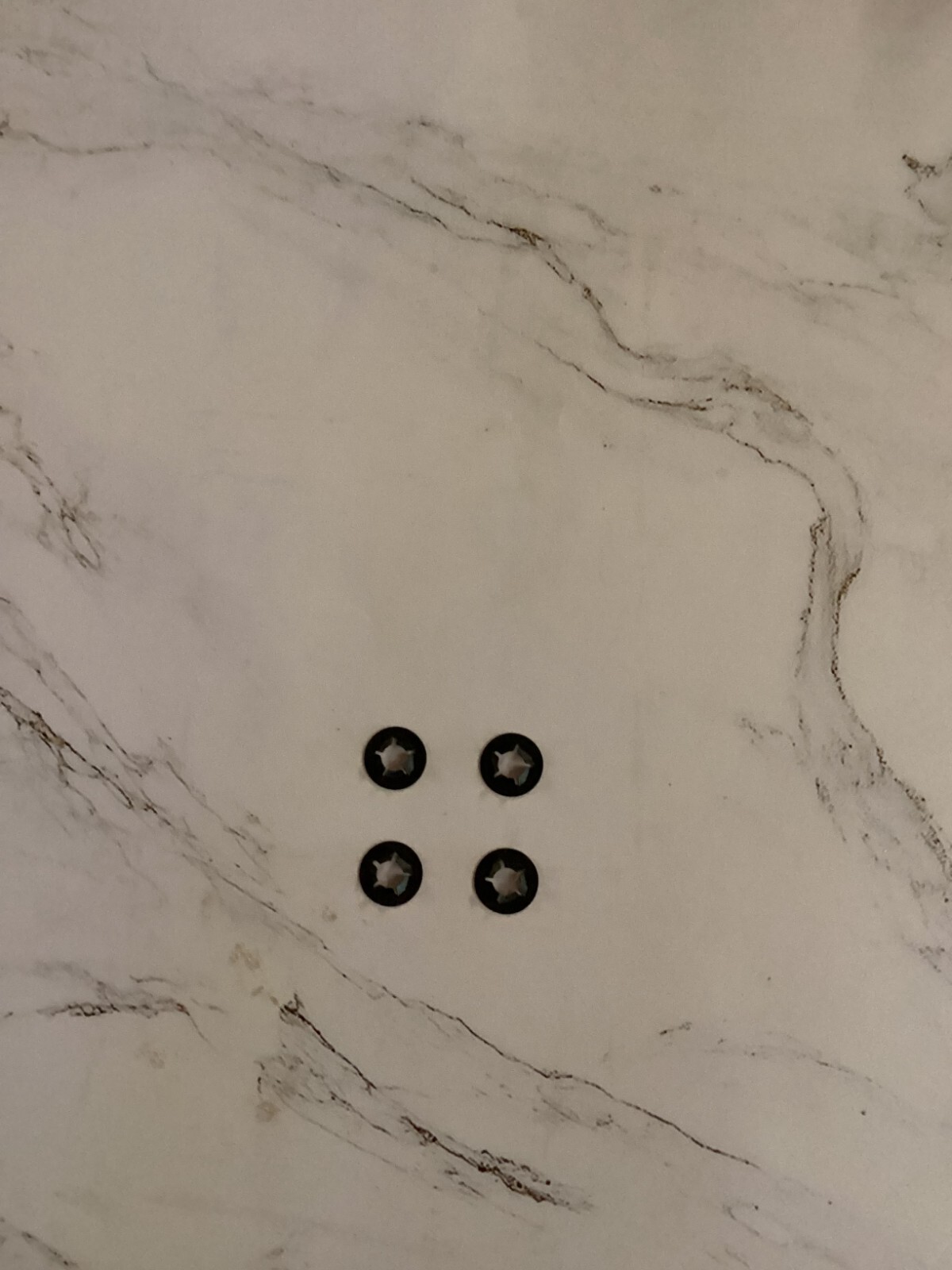 Lincoln Towncar 2003-2011 Left Front Door Handle Bezel Heat-Air-Memory W/OHandle