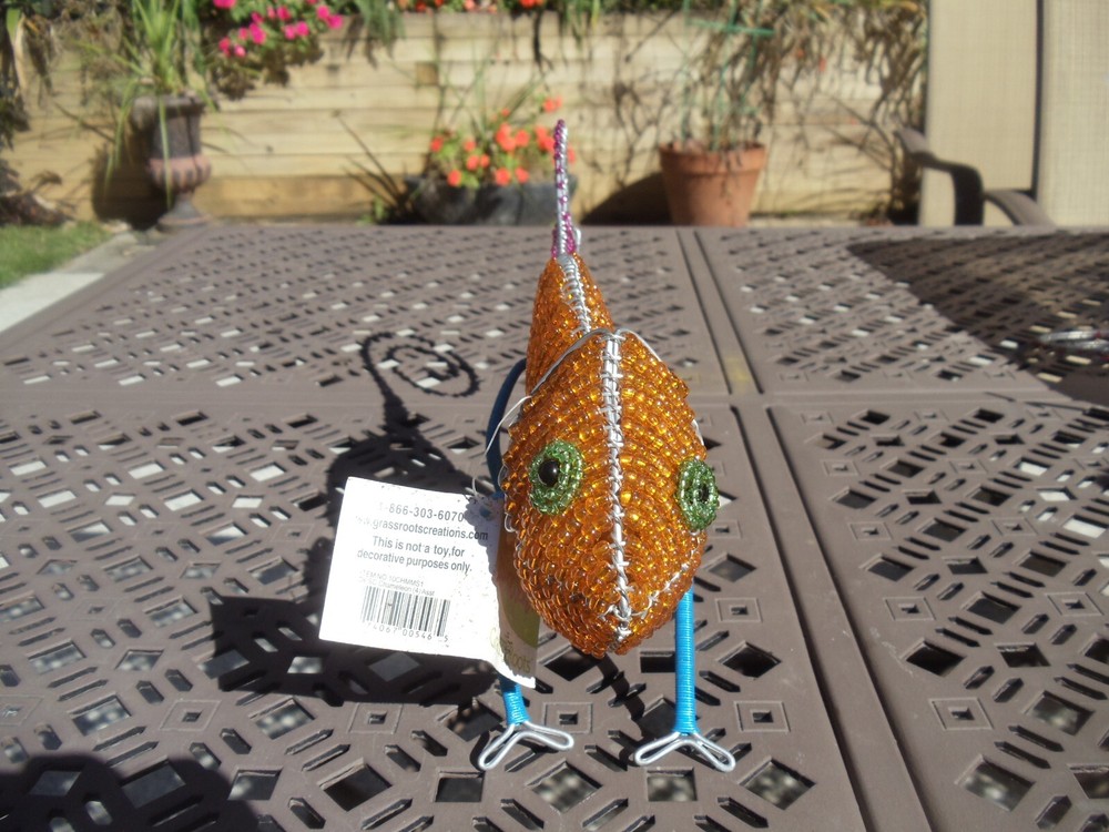 Beaded land: Chameleon