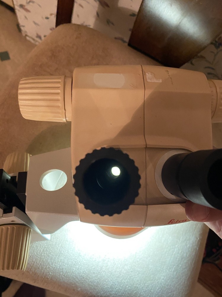 Leica GZ4 with Microlite