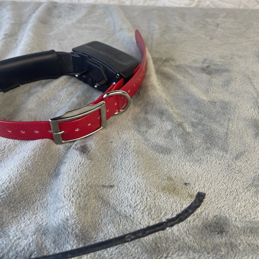 Garmin TT15 GPS Dog Tracking Collar