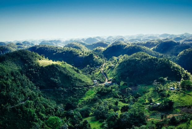 100% Jamaican Blue Mountain Coffee Beans Medium Roasted 1 Pound Bag