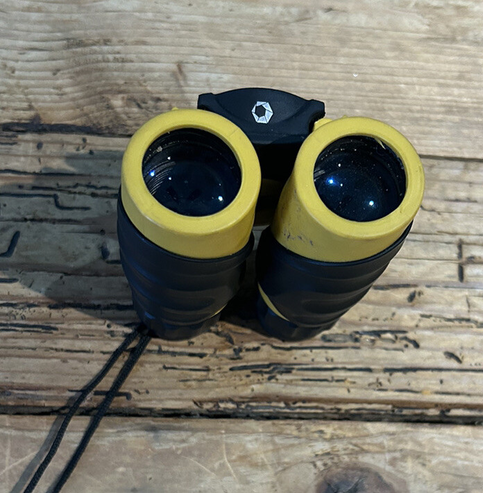 Barska Compact Yellow WP Binoculars with Neck Strap 10x25