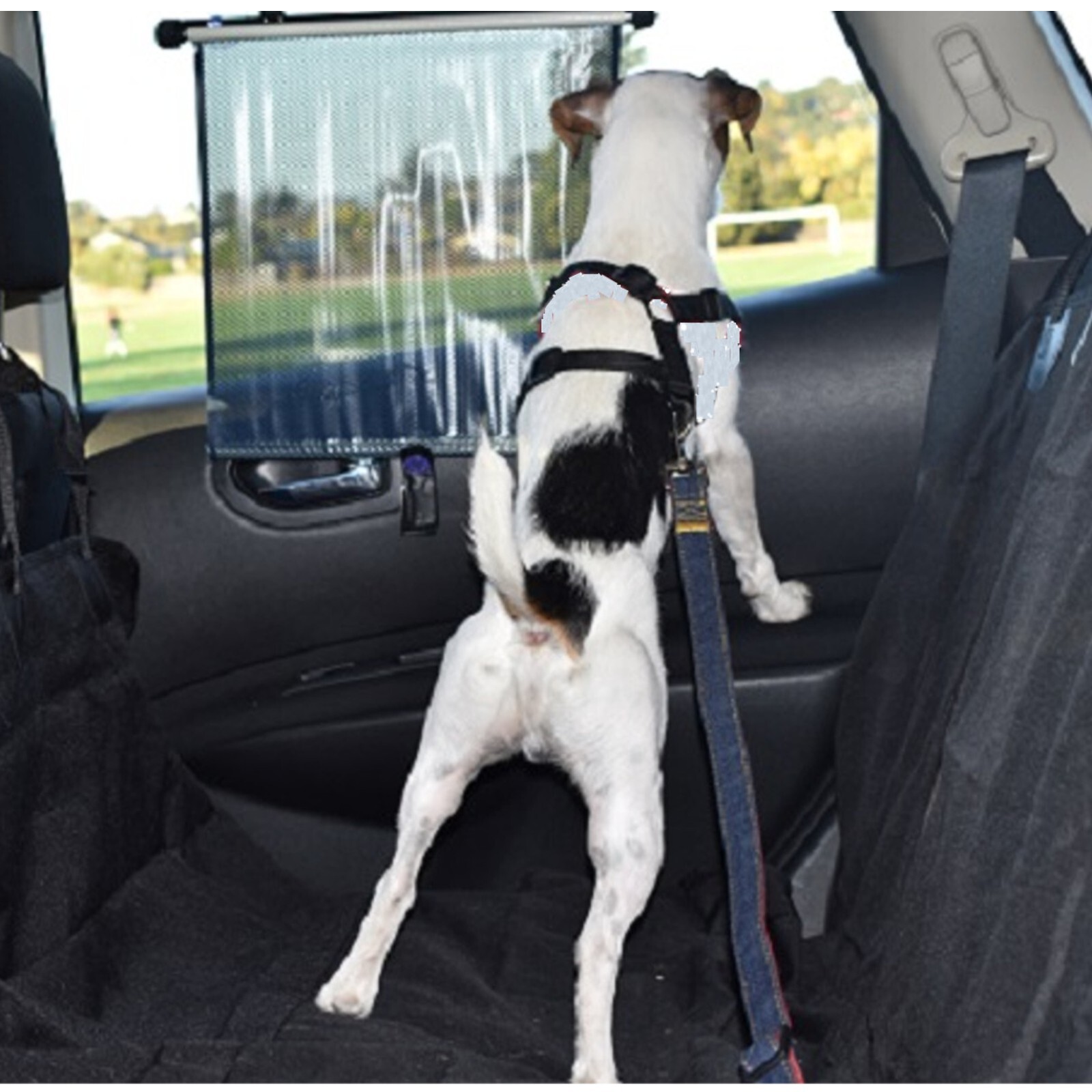 Dog Breathable Reflective Mesh Collar Harness-Travel Walk Seat Belt No Pulling