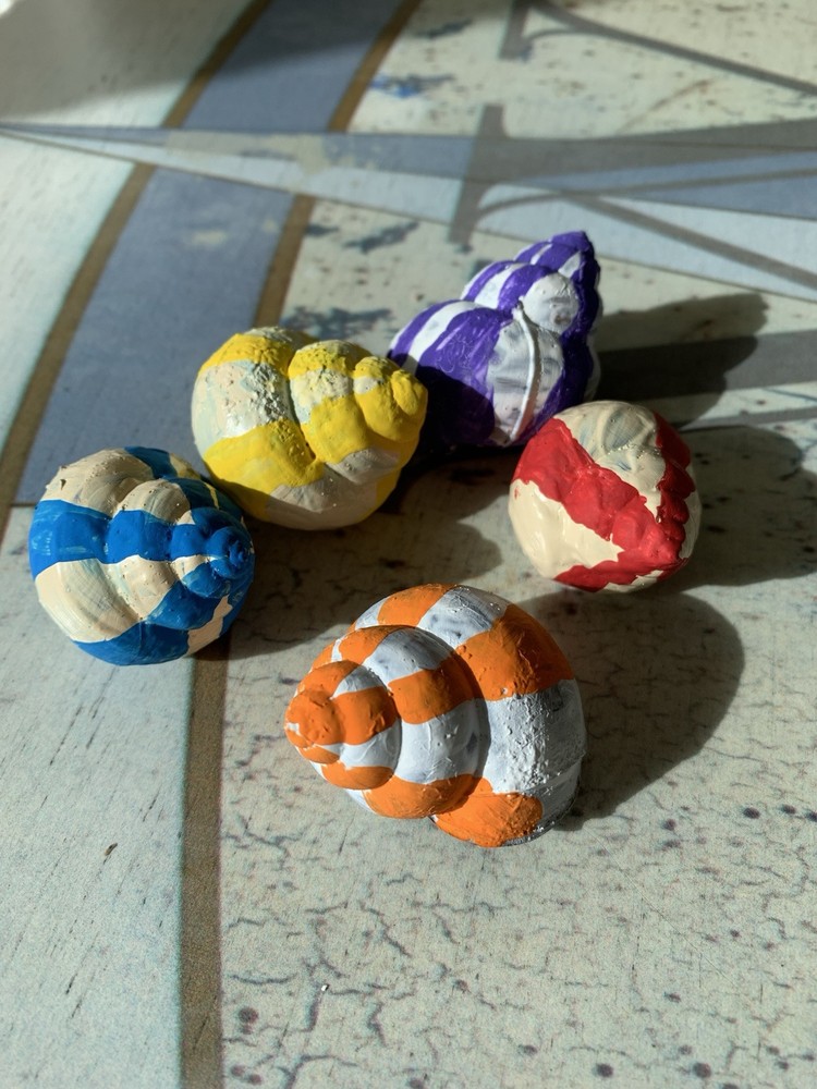5 Hand Painted Shells For Crafting