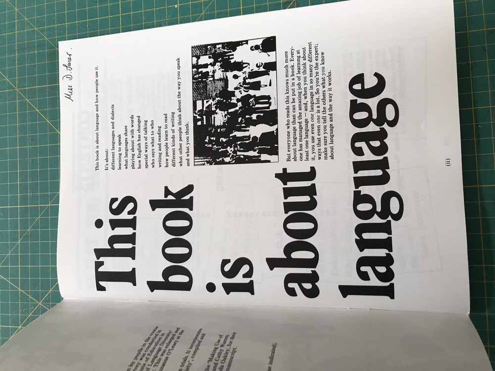 The Languages Book by Raleigh, Mike