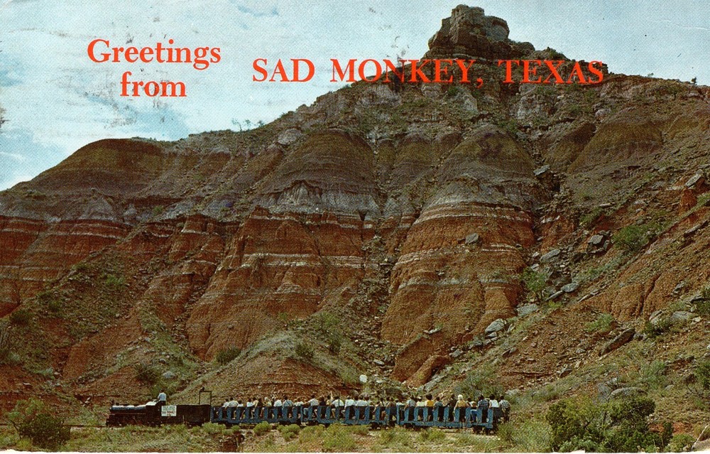 SAD MONKEY, TX  - PC5764