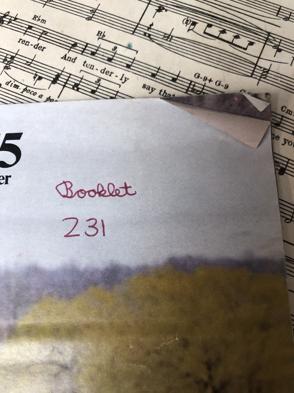 1965 Chevrolet Chevelle Malibu Super Sport SS Wagon 300 Original Sales Brochure