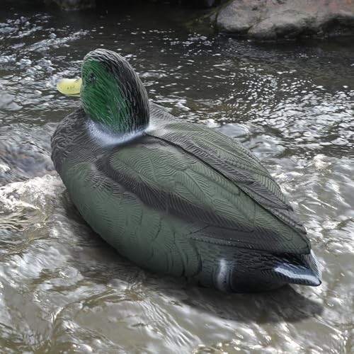 Floatable Mallard Duck Decoy - Realistic & Durable Hunting Decor (1 Pack)