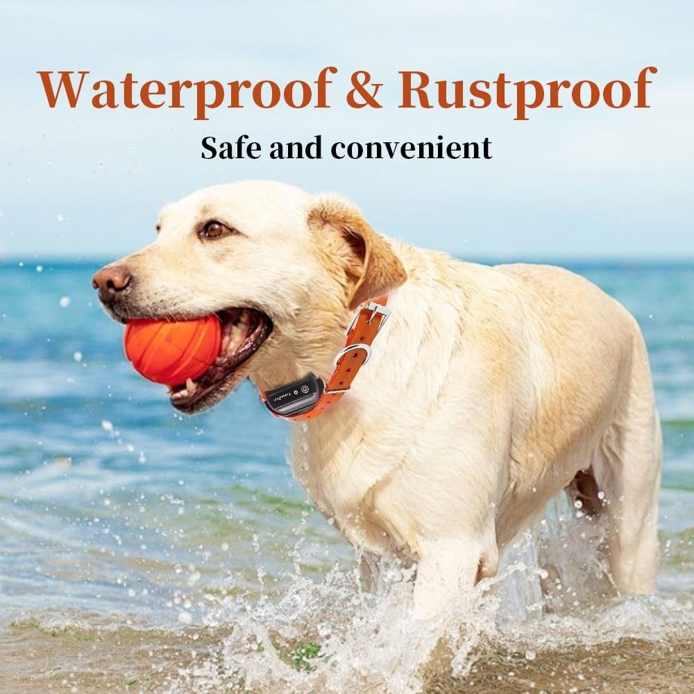 Universal Waterproof Dog Training Collar Replacement Strap, Adjustable, Fits ...