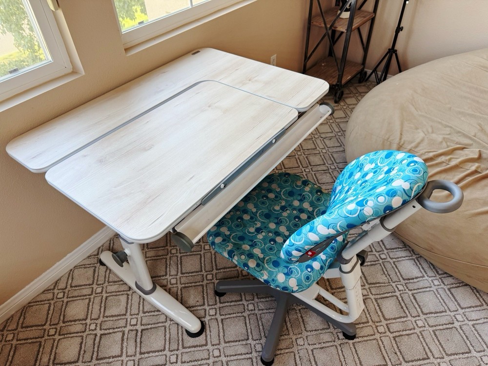 Kids Learning Desk And Chair